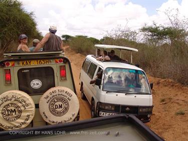 KENYA_2007,_Safari,_Tsavo_NP,_DSC05012H488