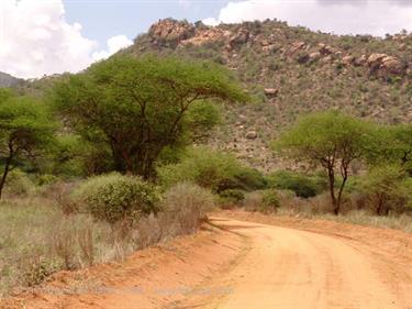 KENYA_2007,_Safari,_Tsavo_NP,_DSC05035H488