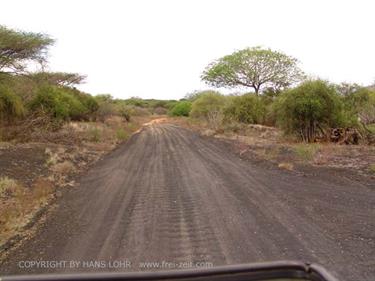 KENYA_2007,_Safari,_Tsavo_NP,_DSC05052H488