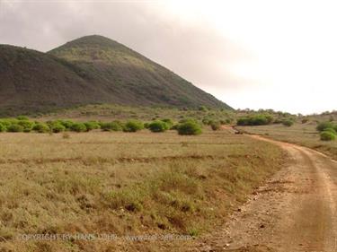 KENYA_2007,_Safari,_Tsavo_NP,_DSC05141H488