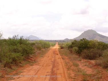 KENYA_2007,_Safari,_Tsavo_NP,_DSC05237H488