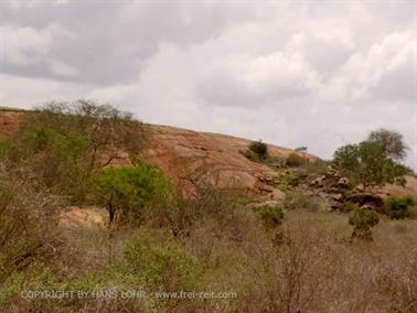 KENYA_2007,_Safari,_Tsavo_NP,_DSC05239H488