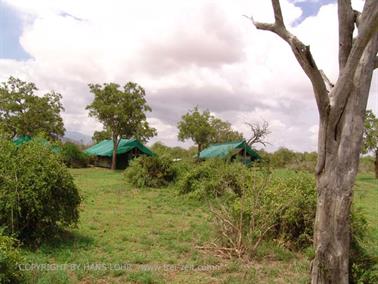 KENYA_2007,_Safari,_Tsavo_NP,_DSC05273H488