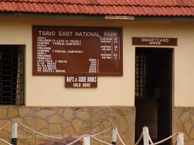 KENYA_2007,_Safari,_Tsavo_NP,_DSC05529H488