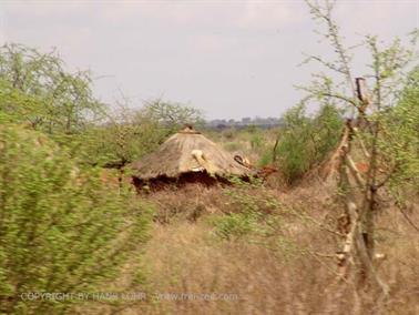 KENYA_2007,_Safari,_Tsavo_NP,_DSC05546H488