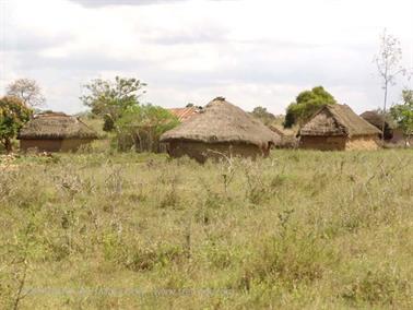 KENYA_2007,_Safari,_Tsavo_NP,_DSC05586H488