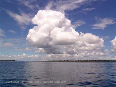 KENYA_2007,_Swimming_with_Dolfins,_DSC04514H488