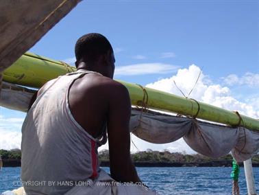 KENYA_2007,_Swimming_with_Dolfins,_DSC04538H488