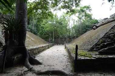 Coba,-an-old-Mayan-City,_DSC_6360_b_H600Px