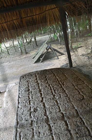 Coba,-an-old-Mayan-City,_DSC_6407_b_H600Px