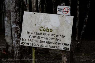 Coba,-an-old-Mayan-City,_DSC_6422_b_H600Px