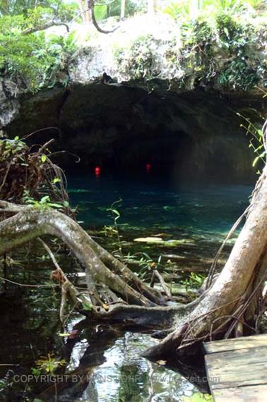 Grand-Cenote,-Tulum,_PB200538_b_H600Px