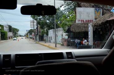 On-route-to-Chichen-Itza,_DSC_5202_b_H600Px