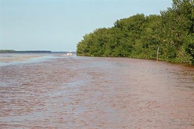 Ria-Celestun,-Flamingo-Lagune,_DSC_5522_b_H600Px