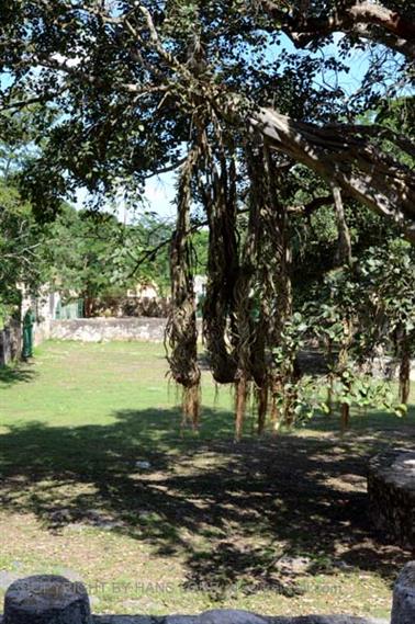 Yaxcopoil-Hacienda,_DSC_5473_b_H600Px