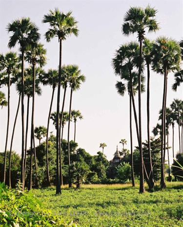 Amarapura,_Myanmar,_359F1020015B_H600