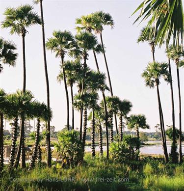 Amarapura,_Myanmar,_362F1020020B_H600