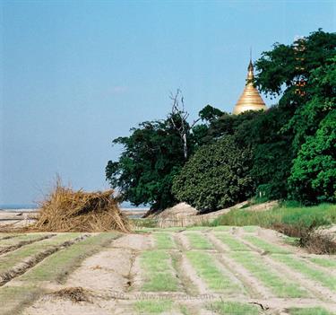 Bagan,_Myanmar,_F1020008b_H600