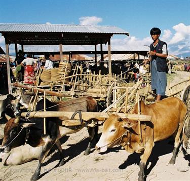 Inle_Lake,_Myanmar,_104F1050036B_H600