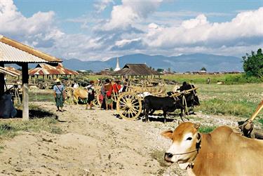 Inle_Lake,_Myanmar,_105F1050037B_H600