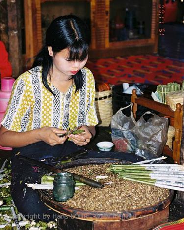 Inle_Lake,_Myanmar,_131F1020028B_H600