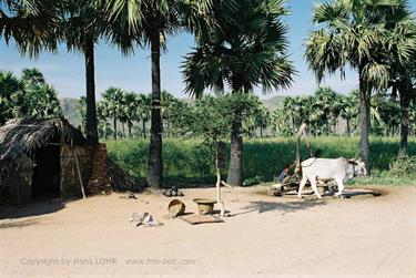 Mount_Popa,_Myanmar,_413F1020004B_H600