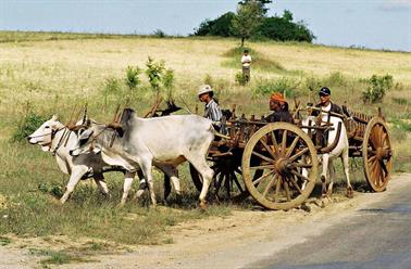 Pindaya,_Myanmar,_165F1000024B_H600