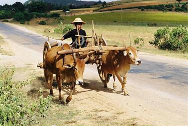 Pindaya,_Myanmar,_169F1000028B_H600