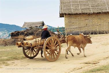 Pindaya,_Myanmar,_171F1000030B_H600