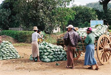 Pindaya,_Myanmar,_174F1000032B_H600