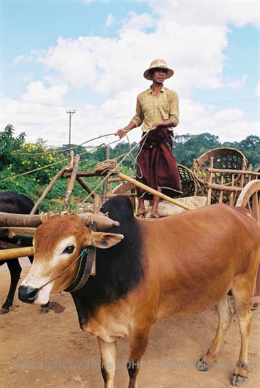 Pindaya,_Myanmar,_175F1000033B_H600