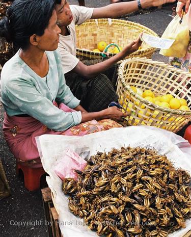 Yangoon,_Myanmar,_017F1040017_2B_H600