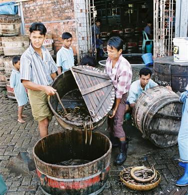 Yangoon,_Myanmar,_F1030025b_H600