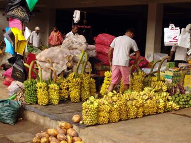 Bandarawela_to_Colombo,_DSC07078B_H600