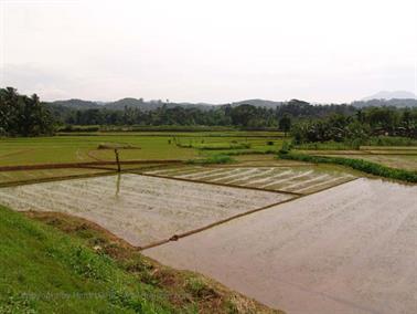 Bandarawela_to_Colombo,_DSC07118B_H600