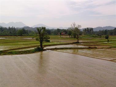 Bandarawela_to_Colombo,_DSC07119B_H600