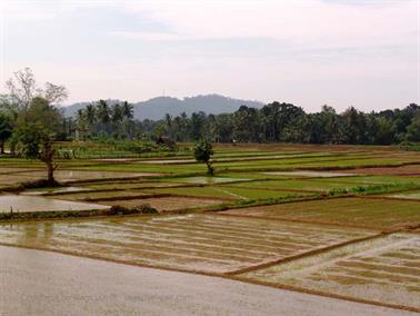 Bandarawela_to_Colombo,_DSC07120B_H600