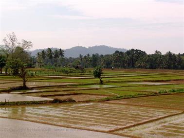 Bandarawela_to_Colombo,_DSC07120C_H600