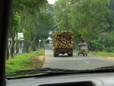 Bandarawela_to_Colombo,_DSC07125B_H600