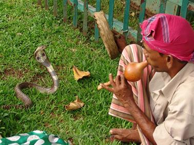 Colombo_sightseeing,_DSC05767B_H600