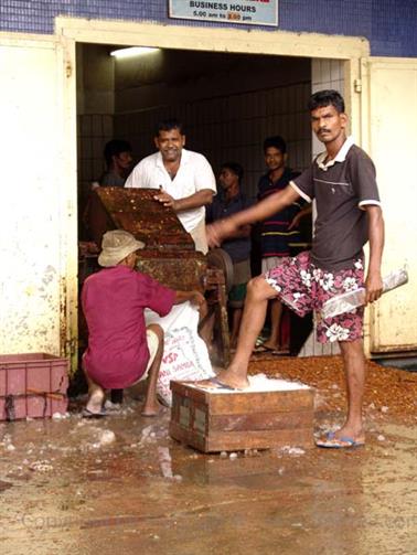 Colombo_sightseeing,_DSC05845B_H600