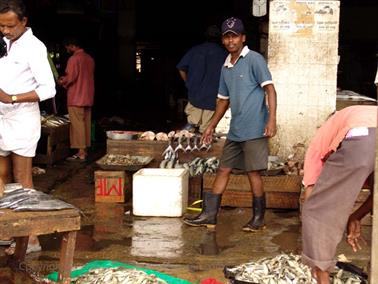 Colombo_sightseeing,_DSC05857B_H600