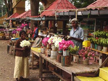 Colombo_sightseeing,_DSC05904B_H600