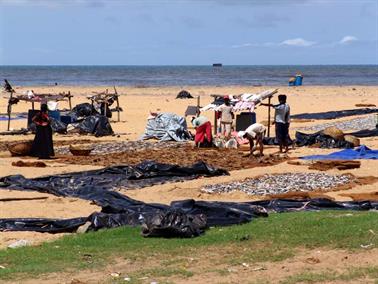 Colombo_to_Negombo,_DSC05955B_H600