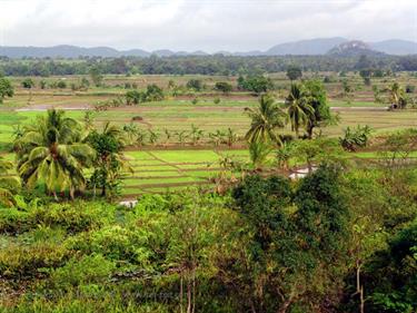 Dambulla_monastery,_Spicy-Farm,_Kandy,_DSC06298B_H600