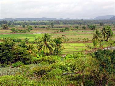 Dambulla_monastery,_Spicy-Farm,_Kandy,_DSC06300B_H600