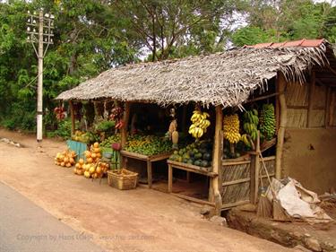 Dambulla_monastery,_Spicy-Farm,_Kandy,_DSC06363B_H600