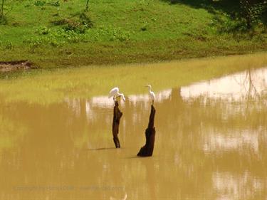 Dambulla_monastery,_Spicy-Farm,_Kandy,_DSC06369B_H600