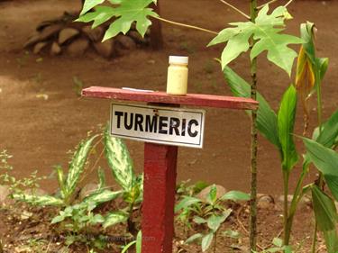 Dambulla_monastery,_Spicy-Farm,_Kandy,_DSC06374B_H600