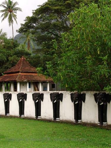 Dambulla_monastery,_Spicy-Farm,_Kandy,_DSC06399B_H600